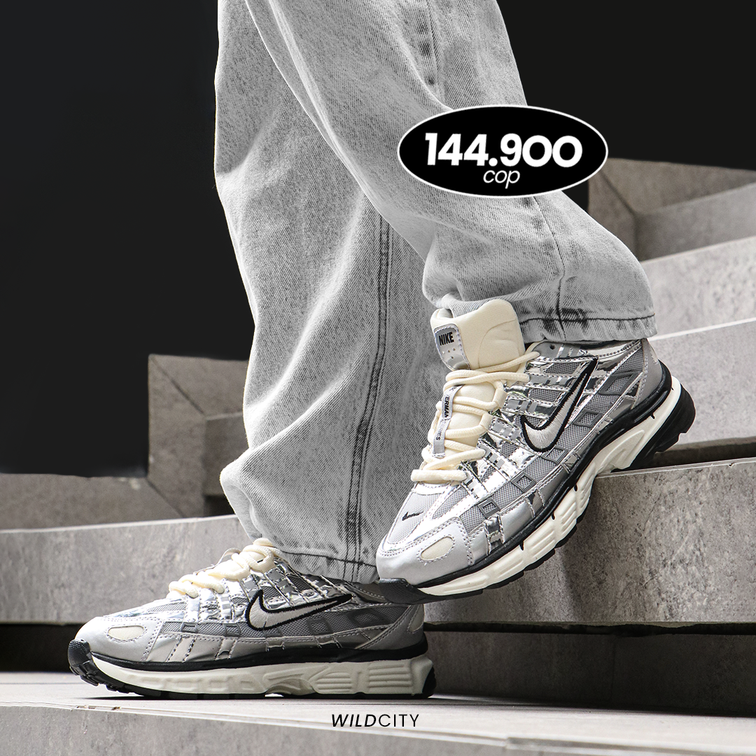 NIKE P-6000 SILVER
