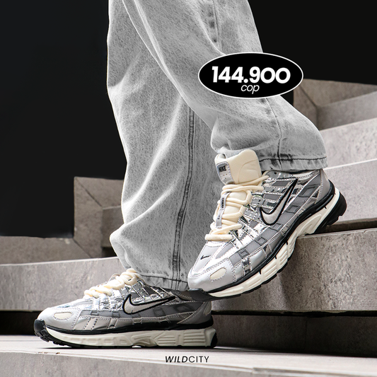 NIKE P-6000 SILVER