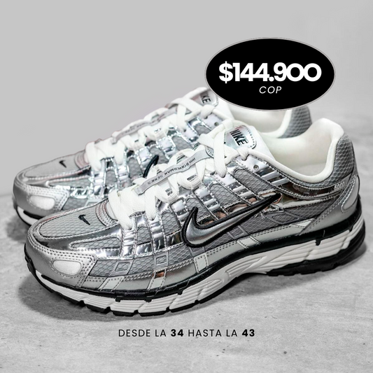 NIKE P-6000 SILVER